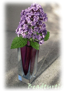 Flieder  Lilac