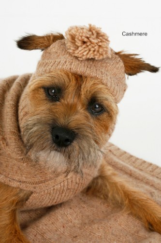 Четыре идеи вязаной одежды для маленьких пород собак
