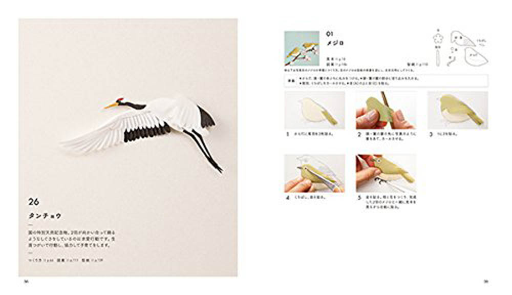 Cute bird 3D cutting paper