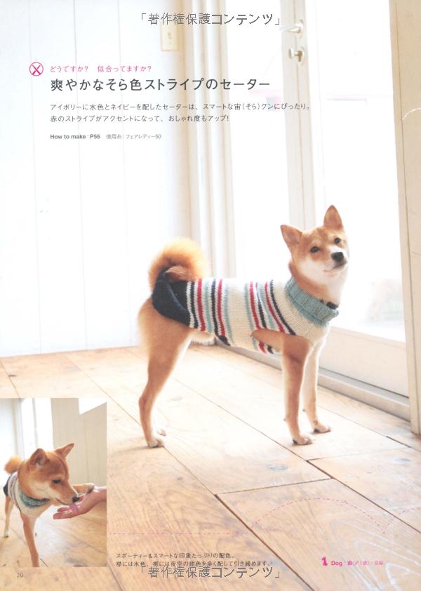 Knitting beautiful color dog poncho and sweaters 