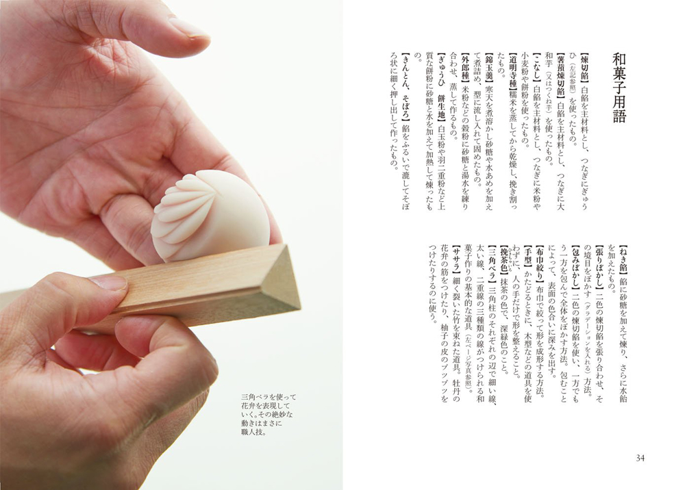 Japanese confectionery WAGASHI Japa Noroji Collection