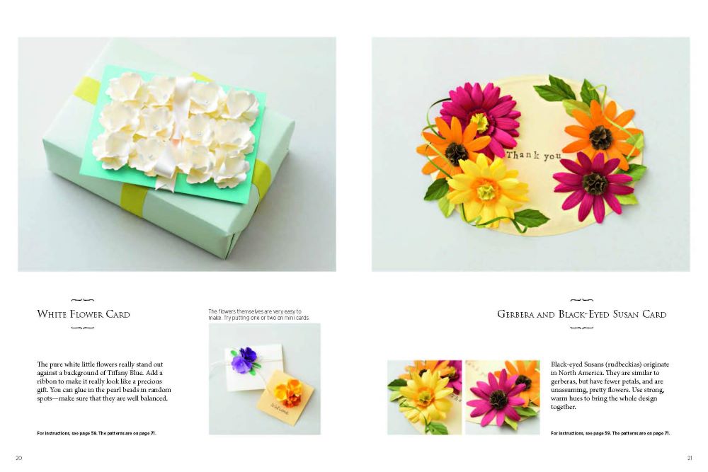 Paper Flower Note Cards: Pop-up Cards - Greeting Cards - Gift Toppers