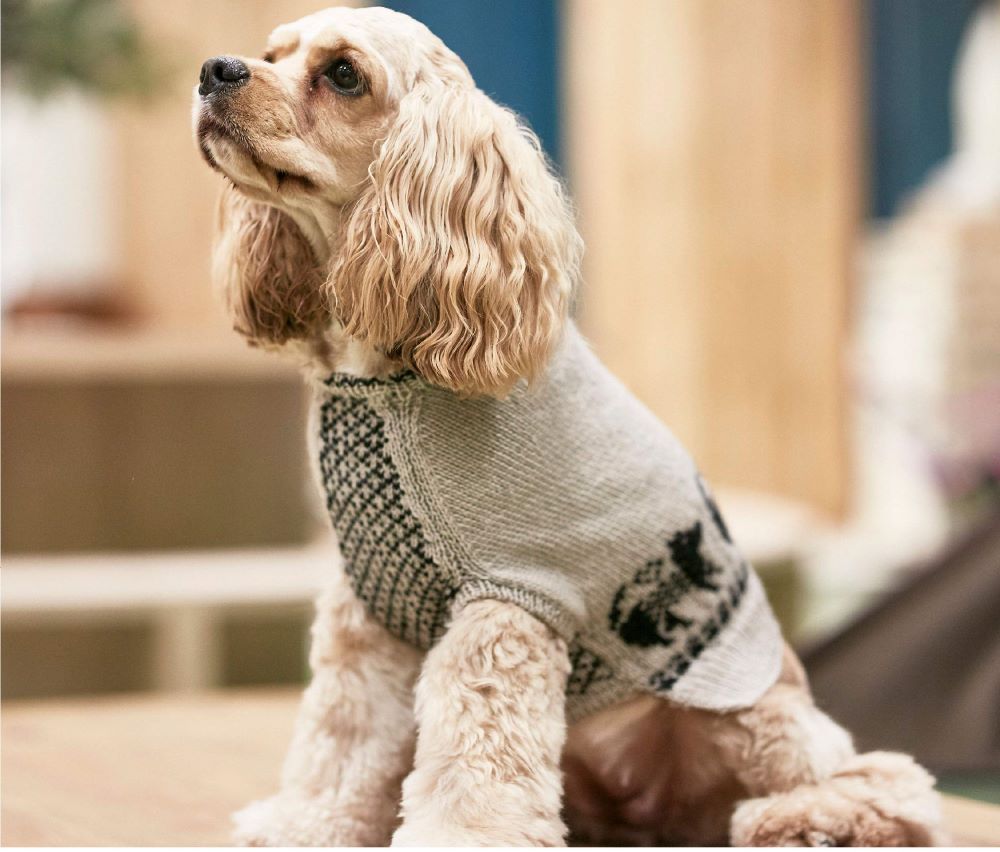 Hand-knitted dog clothes: Adjustable to fit your dog